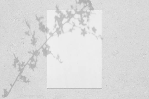 istock Empty white vertical rectangle poster mockup with leaves and flowers shadows 1310046564