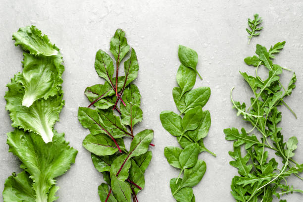 hojas de bebé. hojas de ensalada verde fresca de la granja. lechuga, remolacha, rúcula y espinaca bebé, nutrición saludable, concepto de dieta vegana. - beet green fotografías e imágenes de stock