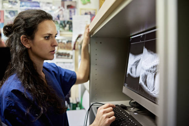 istock Mid 20s Female Veterinary Technician Examining X-Ray Results 1310053272