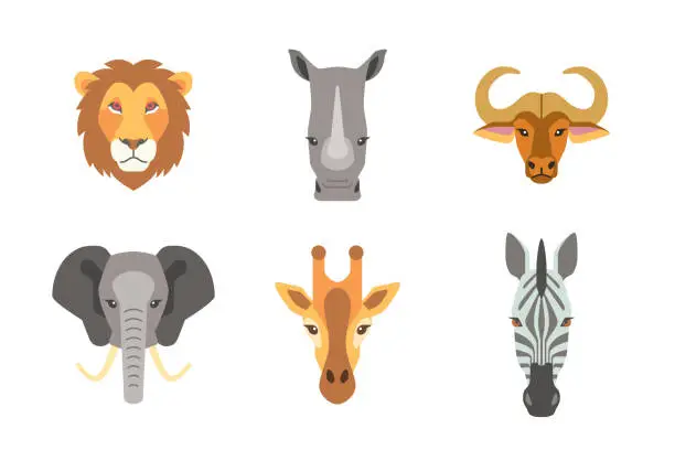 Vector illustration of portrait collection of african wild animal isolated on white background flat vector illustration