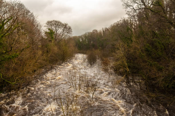 água de inundação de inverno em fluxo rápido no rio dee em tongland, perto de kirkcudbright, escócia - river annan - fotografias e filmes do acervo