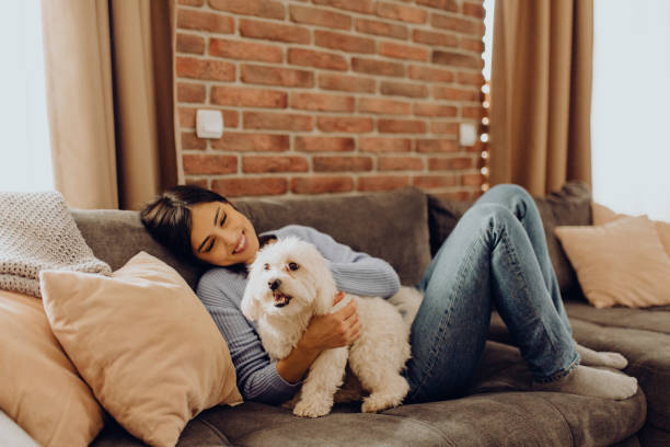 istock enjoy the afternoon on the sofa with my dog 1310056351