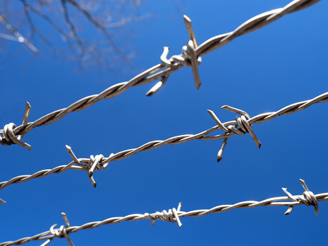 Blue sky and barbed wire
