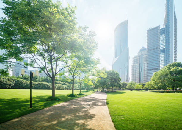 istock Green Space, Lujiazui Central, Shanghai, China 1310058450