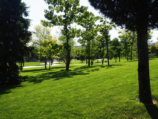 istock Beautiful green park with modern landscaping 1310058494