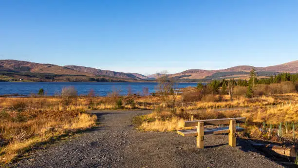 A wooden bench overlooking Clatteringshaws Loch on a sunny winters day in Dumfries and Galloway, Scotland