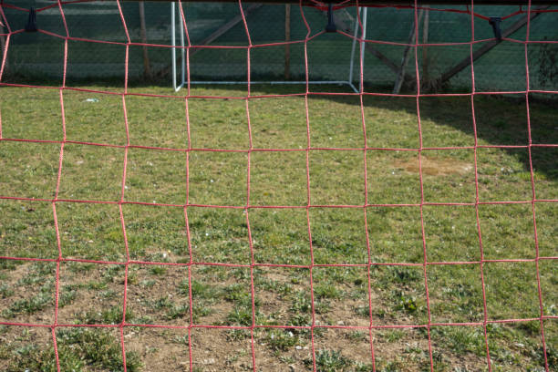 istock green space and lawn in garden 1310063646