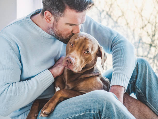 istock Handsome man and a charming puppy. Closeup 1310065016