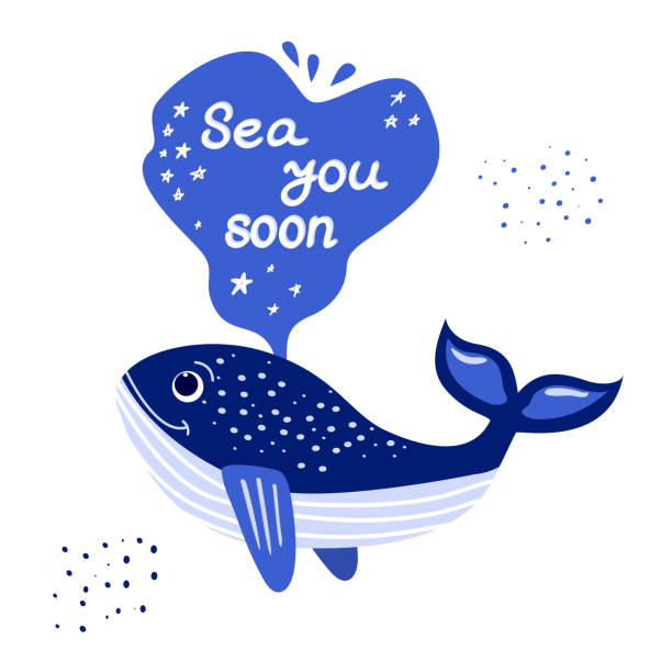 Cartoon Funny Whale Flat Vector Illustration With Text Sea You Soon Cute  Illustration Of A Whale With A Fountain With Text Pun From See You Soon  Design Of T Shirts Postcards Notebooks
