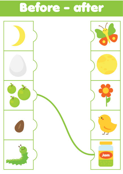 Matching game. Educational children activity. match before and after. Logic Activity for pre scholl years kids and toddlers Matching game. Educational children activity. match before and after card. Logic activity for pre scholl years kids and toddlers multiplication worksheet stock illustrations