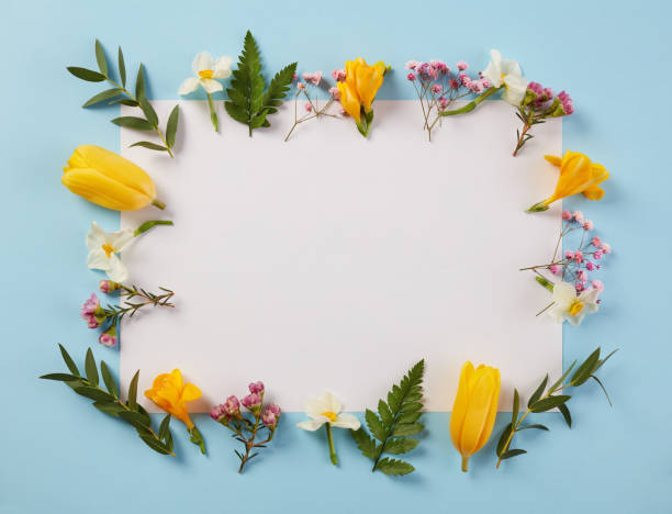 istock Pink, yellow and white flowers 1310069387