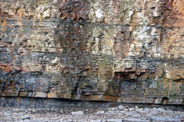 layered rock strata, jurassic coast, dorset, england, uk - rock strata natural pattern abstract scenics imagens e fotografias de stock