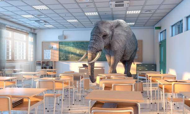 grande elefante all'interno di una scuola. concetto di problemi nascosti. - insolito foto e immagini stock