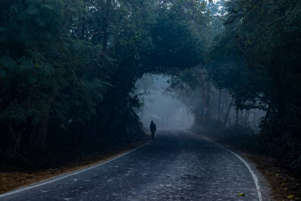 istock Man walking on road, scary dark night in forest 1310070820