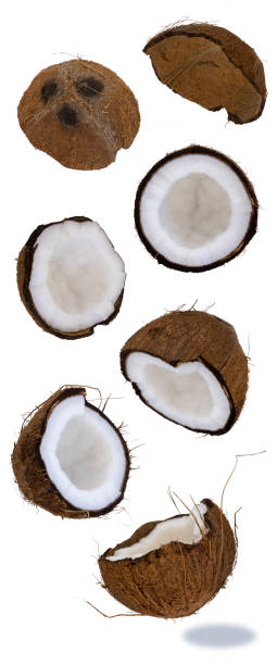 istock split coconut on a white background. Coco, ripe palm fruit. many different pieces of nut. 1310074303