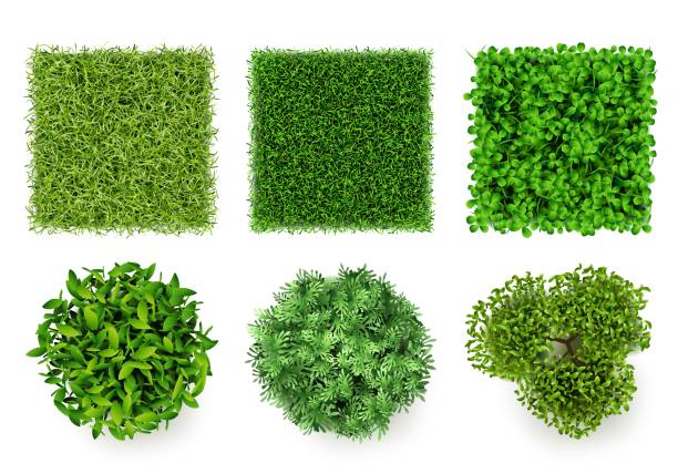 istock Green ground top view. Eco concept pieces of grass and bushes forest items decent vector realistic plants 1310074397