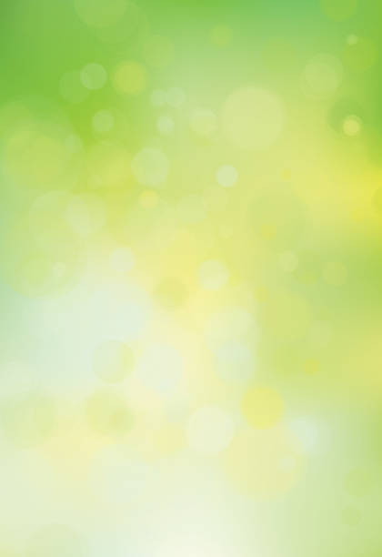 Vector green, bokeh, nature background.  Abstract green background. vector art illustration