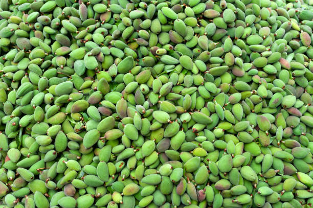 istock Almond, fruit, green vegetable, fruit, fresh, food 1310076063