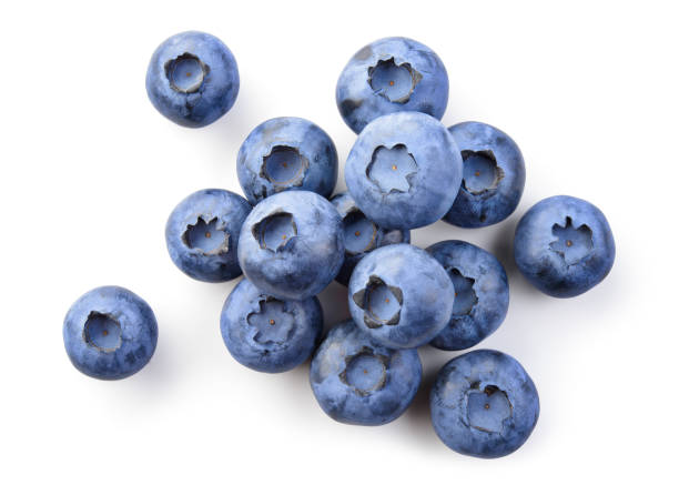 istock Blueberry isolated. Blueberry heap on white. Blueberry top view. With clipping path. 1310078272