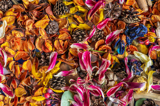 istock Background from dry petals, flowers and natural material. 1310078303