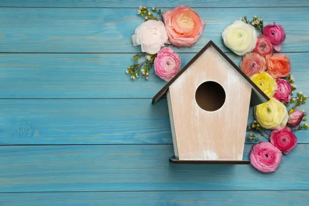 Photo of Stylish bird house and fresh eustomas on light blue wooden background, flat lay. Space for text