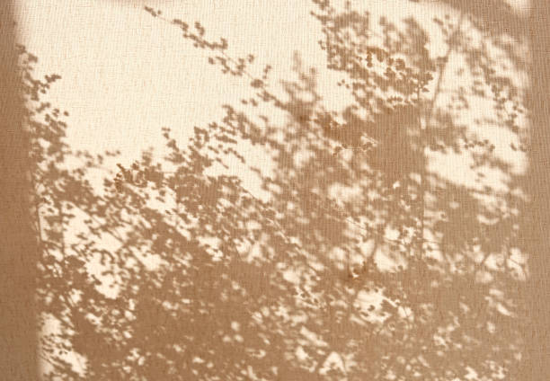 Light and shadow sunset on old retro beige fabric texture.  vintage textile background. Abstract backdrop with floral pattern and crossed lines shadows.