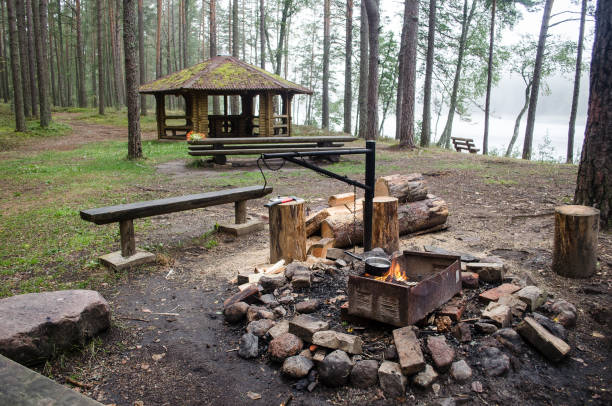 istock Rest by the lake with fireplace 1310084677