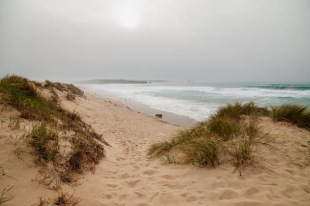istock Sand dunes by the sea 1310085147