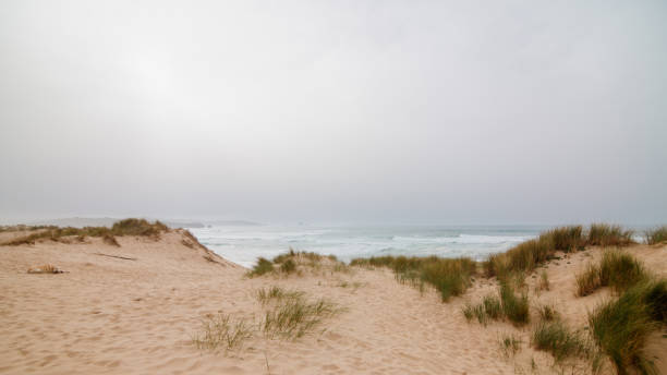 istock Sand dunes by the sea 1310085150