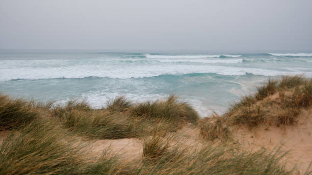 Sand dunes by the sea