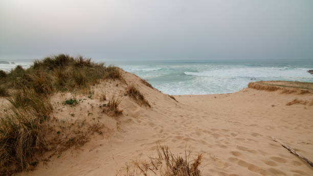 istock Sand dunes by the sea 1310085253