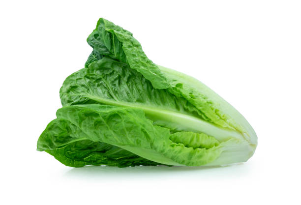 istock Fresh green Lettuce leaves, Salad leaf isolated on white background. with clipping path. 1310086355