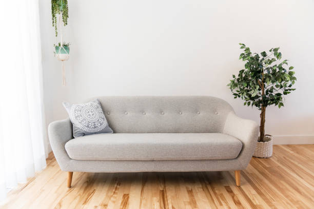 istock Modern living room with grey couch sofa 1310089457