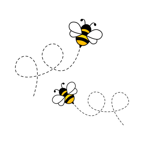 ilustraciones, imágenes clip art, dibujos animados e iconos de stock de abejas volando en ruta punteada. - abeja