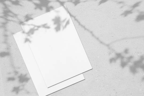 istock Two empty white vertical rectangle poster mockups with leaves and flowers shadow 1310091489