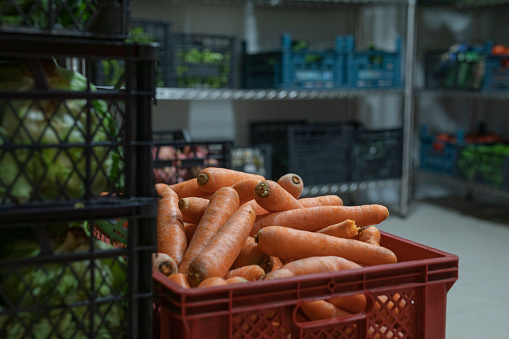 vegetable store