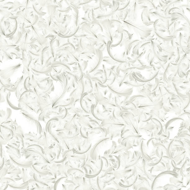 istock Feather design. Pastel angel feather closeup texture isolated on white background in seamless pattern photography. Abstract. Light blue color trends and vintage. 1310093319