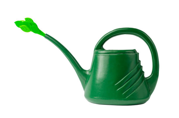 istock green watering can for watering flowers isolate on white 1310094733