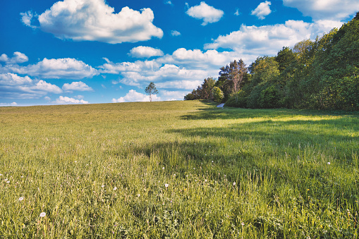 Panorama of Czech Paradise and Bohemian Central Highlands from hill Kozakov to west in sunny summer day Czech republic.