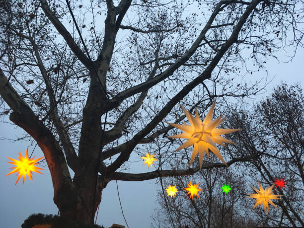 istock Party stars illuminations hanging in the tree 1310098244