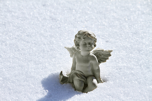 Little angel in the snow