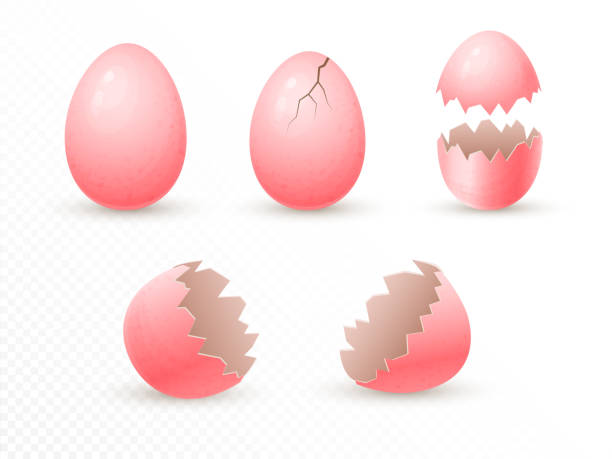 ilustrações de stock, clip art, desenhos animados e ícones de pink easter eggs in various form. broken painted holiday eggs. whole, cracked, open and broken eggshell. 3d realistic illustration. vector mock up for holiday design isolated on transparent background. - easter eggs red