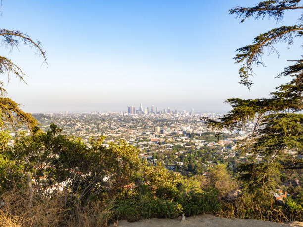 istock view of a city through the trees 1310101944