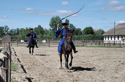 A horse and rider make a sharp turn in a timed equestrian event.