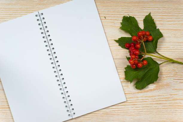 istock viburnum ripe and opened blank notepad on white wooden table 1310102232