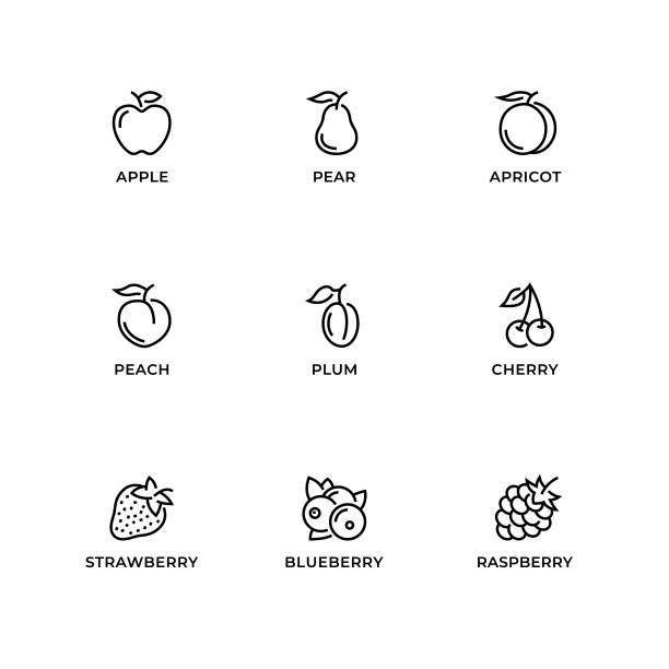 vektor-set von design-elemente, logo-design-vorlage, symbole und abzeichen für obst. - raspberry stock-grafiken, -clipart, -cartoons und -symbole