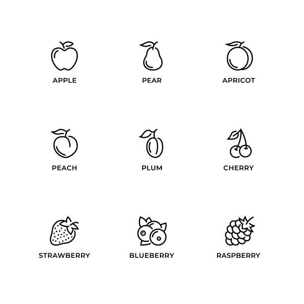 illustrations, cliparts, dessins animés et icônes de ensemble vectoriel d’éléments de conception, modèle de conception de logo, icônes et insignes pour le fruit. - raspberry