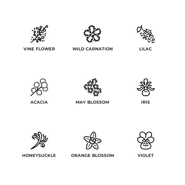 290+ Orange Blossom Icon Stock Illustrations, Royalty-Free Vector