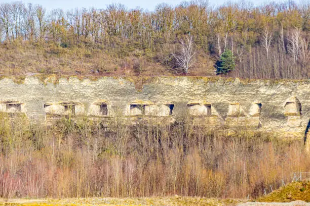 Photo of Mount Saint Peter or Sint Pietersberg with limestone caves on its slope surrounded by bare tree