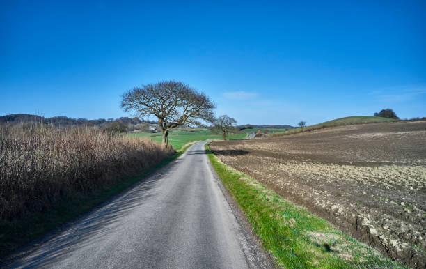 One lane country road